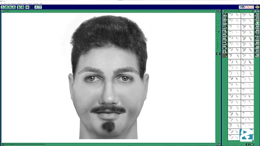 معرفی بهترین نرم افزارهای چهره نگاری