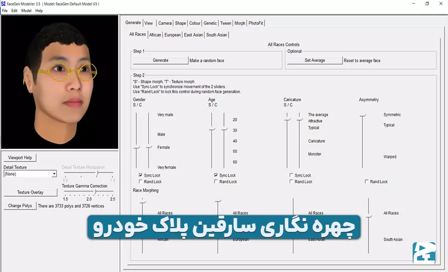 سرقت پلاک خودرو و اقدامات پس از آن