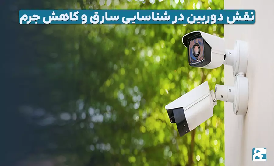 شناسایی سارق در فیلم دوربین مداربسته